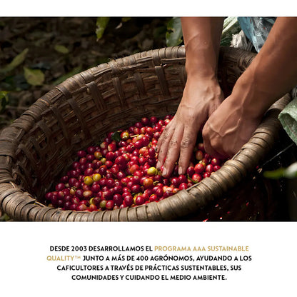 Cafetera Nespresso Essenza Mini D Color Negro Black