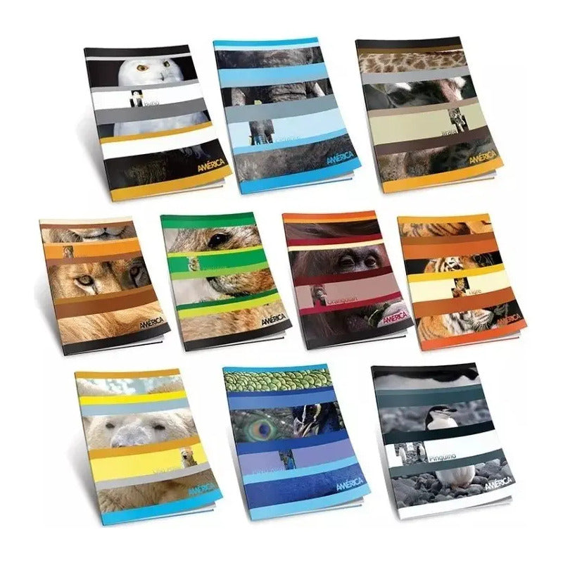 Kit 5 Cuadernos América Tapa Flexible 16x21 Cm X48 H Cuad.