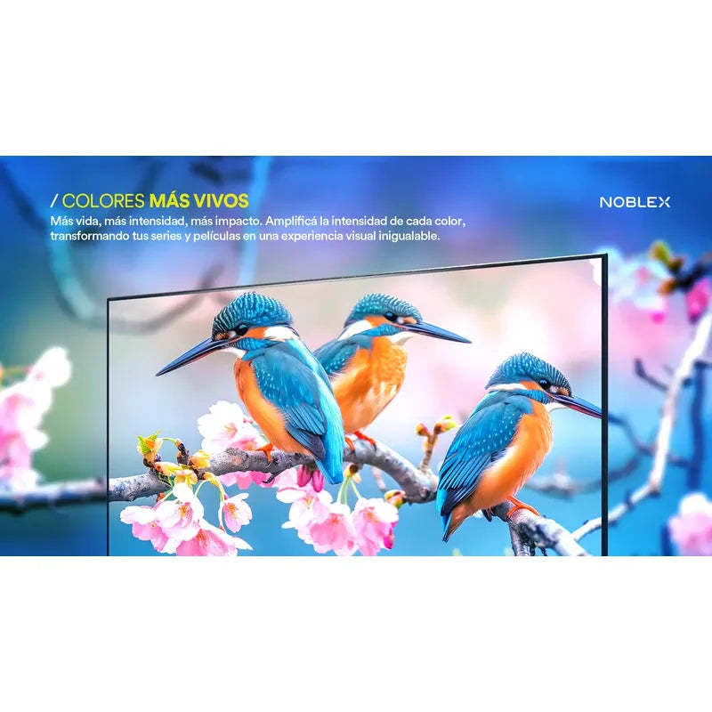 Smart Tv Noblex Roku 43 Pulgadas Led Fhd