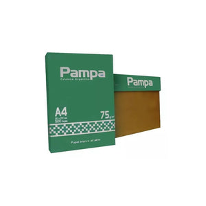 Kit 10 Resma A4 Pampa 500 Hojas 75gr Papel Blanco Caja