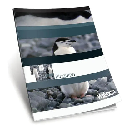 Cuaderno N1 Tf America Cuad 48h