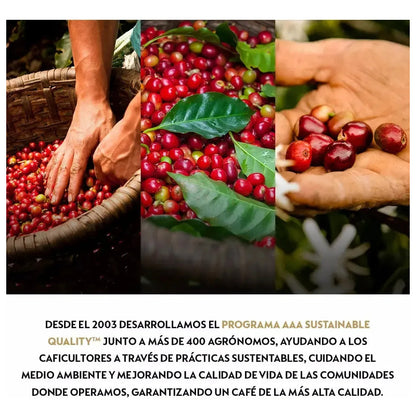 Cafetera Nespresso Citiz D140-ar-ti-ne Automática Para Cápsulas Monodosis Plateado