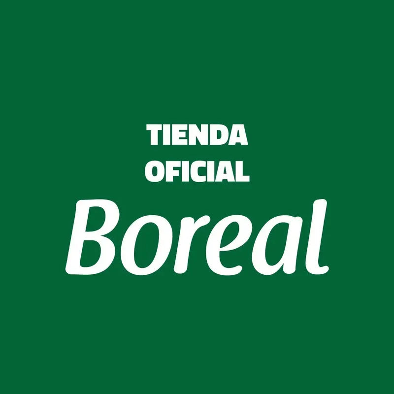 Resma A4 Boreal 90 Gramos 500 Hojas 210mm X 297mm Papel Obra Blanco